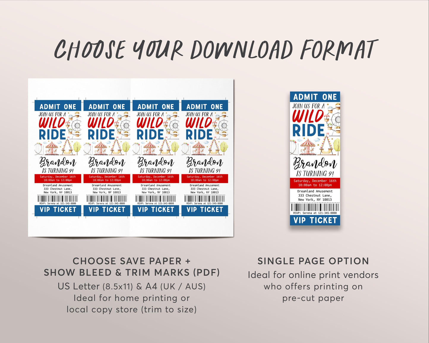 Amusement Park Birthday Ticket Invitation Editable Template, Theme Park Party Invite, Carnival Wild Ride Evite, Ferris Wheel Roller Coaster