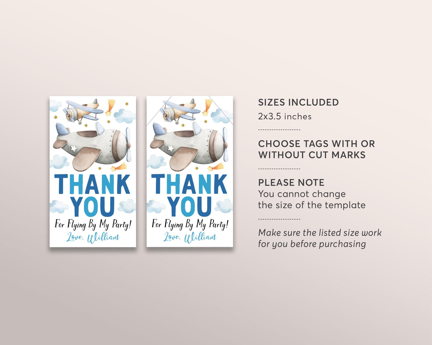 Airplane Birthday Party Favor Tags Editable Template, Boys Plane Theme Thank You Treat Bag, Thanks For Flying By Gift Tag Pilot Take Off