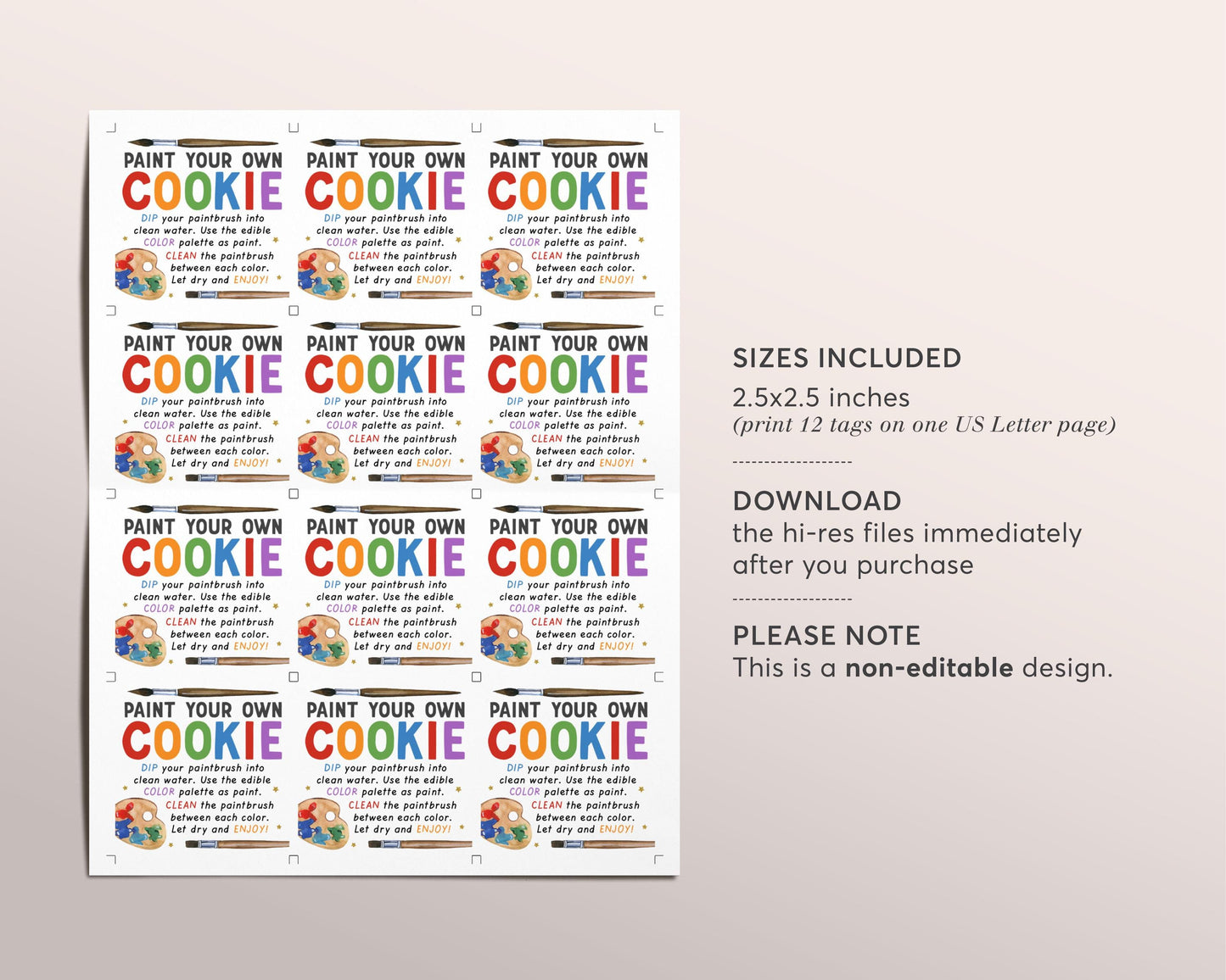 Paint Your Own Cookie Tags, PYO Cookie Kit Tags, Colorful Paint Your Own Instructions And Directions Cookie Label Stickers Cookie Packaging