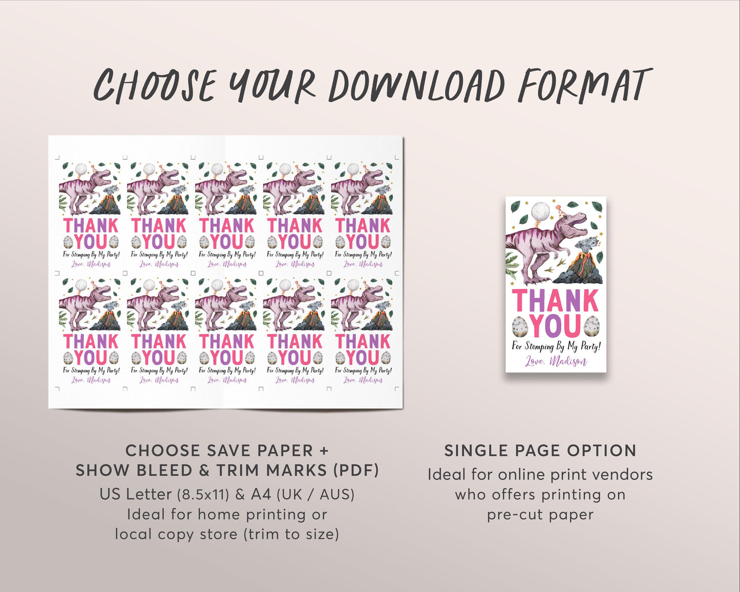 Dinosaur Birthday Favor Tags Editable Template, Girl Pink Jurassic Dinosaur Party Thank You Treat Bag, Dino Four T-Rex Three Rex Gift Tags