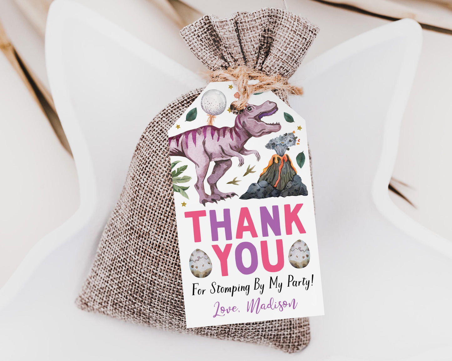 Dinosaur Birthday Favor Tags Editable Template