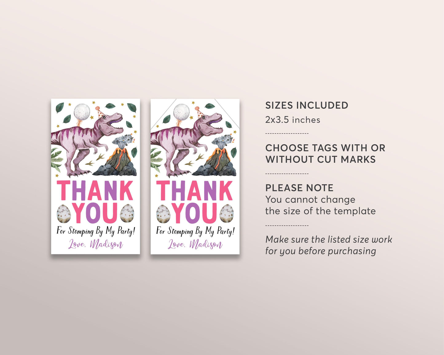 Dinosaur Birthday Favor Tags Editable Template, Girl Pink Jurassic Dinosaur Party Thank You Treat Bag, Dino Four T-Rex Three Rex Gift Tags