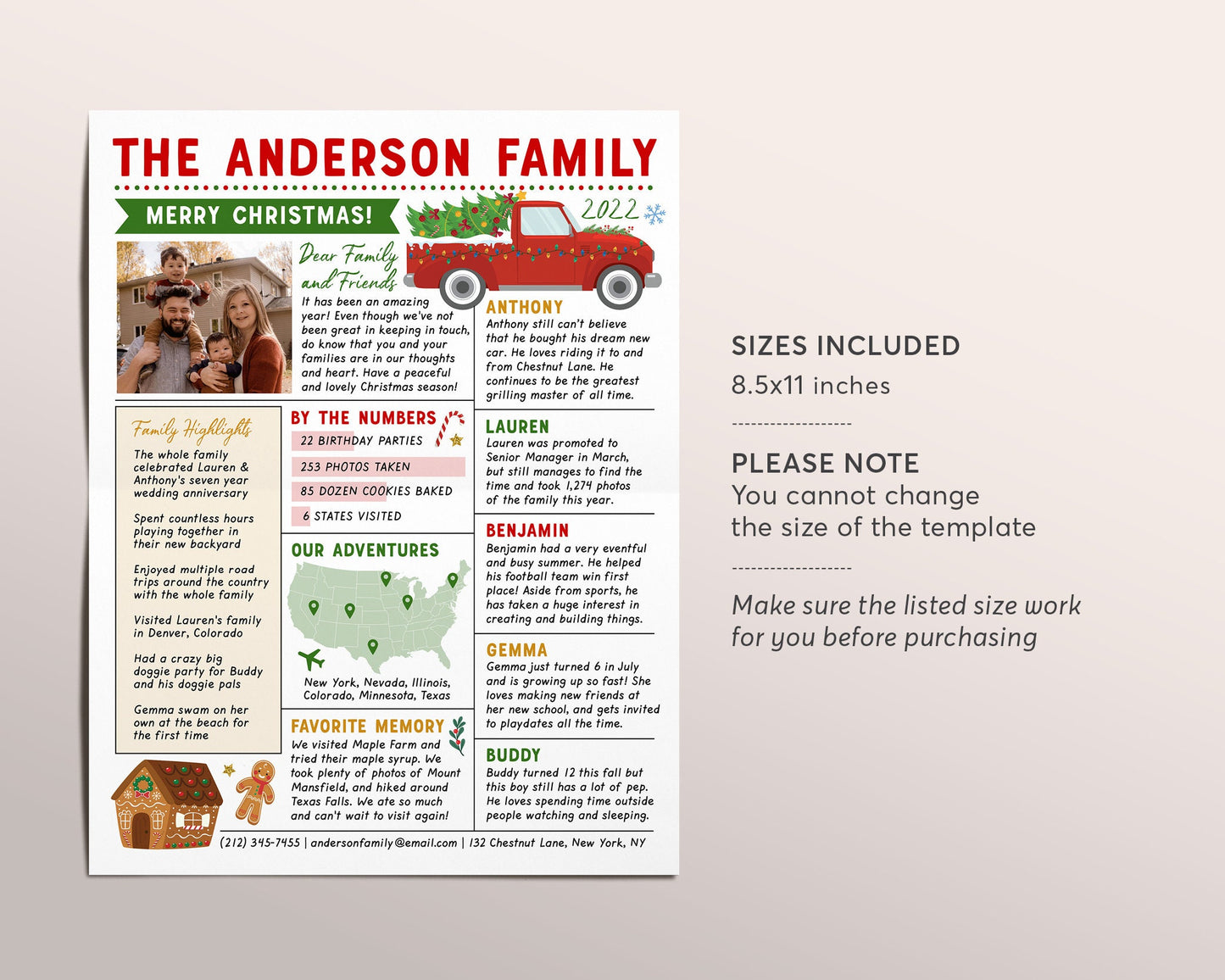 Christmas Newsletter Editable Template, Year In Review Family Update, Year at a Glance, Xmas Post With Photo, Holiday Letter Infographic