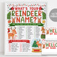 What's Your Reindeer Name Game, Christmas Party Activity With Name Tags Sign Printable, Holiday Winter Kids Adult Classroom Office Games