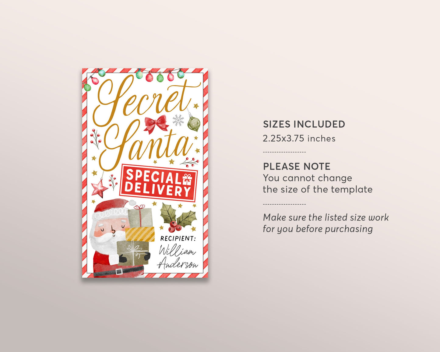 Secret Santa Gift Tags Editable Template, Christmas Santa Claus Special Delivery Gift Exchange Printable Favor Tags, Holiday Party Favor