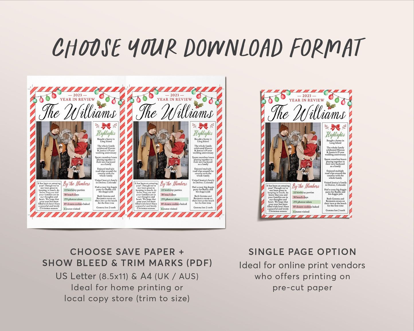 Christmas Family Newsletter Editable Template, Year In Review Infographic Family Update Christmas Card, Holiday Xmas Letter Photo Printable