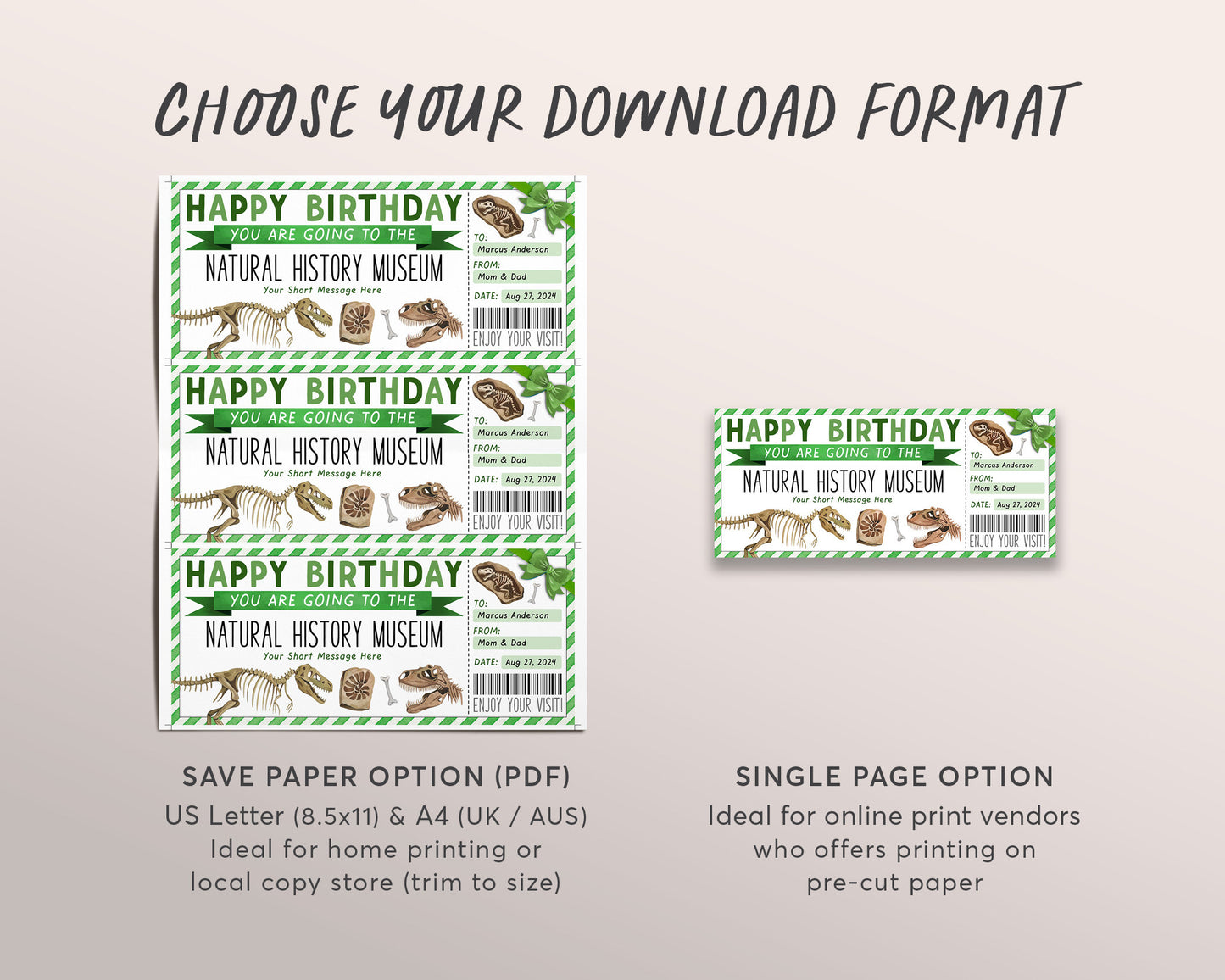 Natural History Museum Ticket Editable Template, Birthday Museum Membership Gift Voucher For Kids, Fossil Dinosaur Trip Gift Certificate