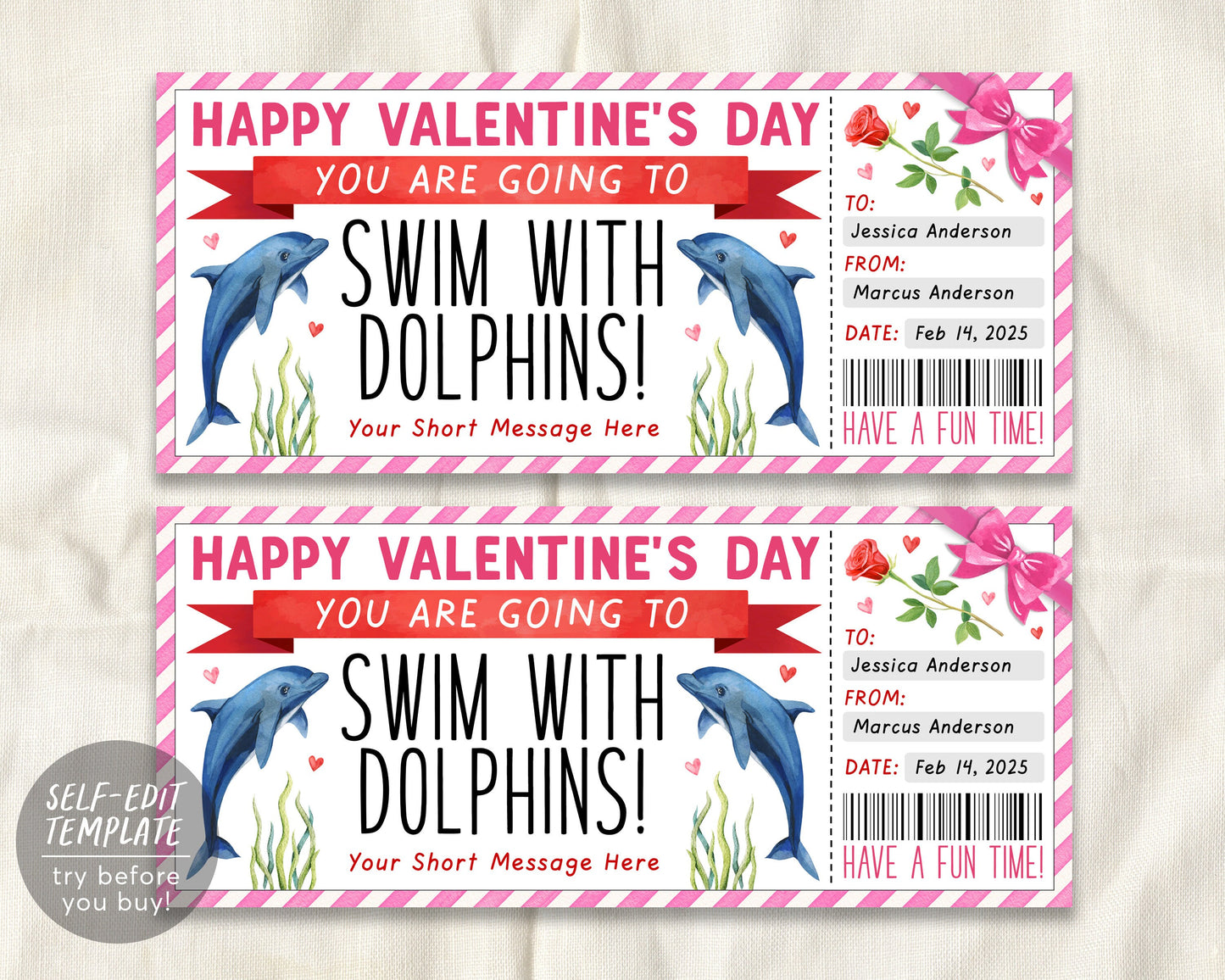 Valentines Day Swim With Dolphins Ticket Editable Template
