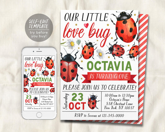 Ladybug Birthday Invitation Editable Template