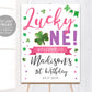 Lucky One Birthday Welcome Sign Editable Template