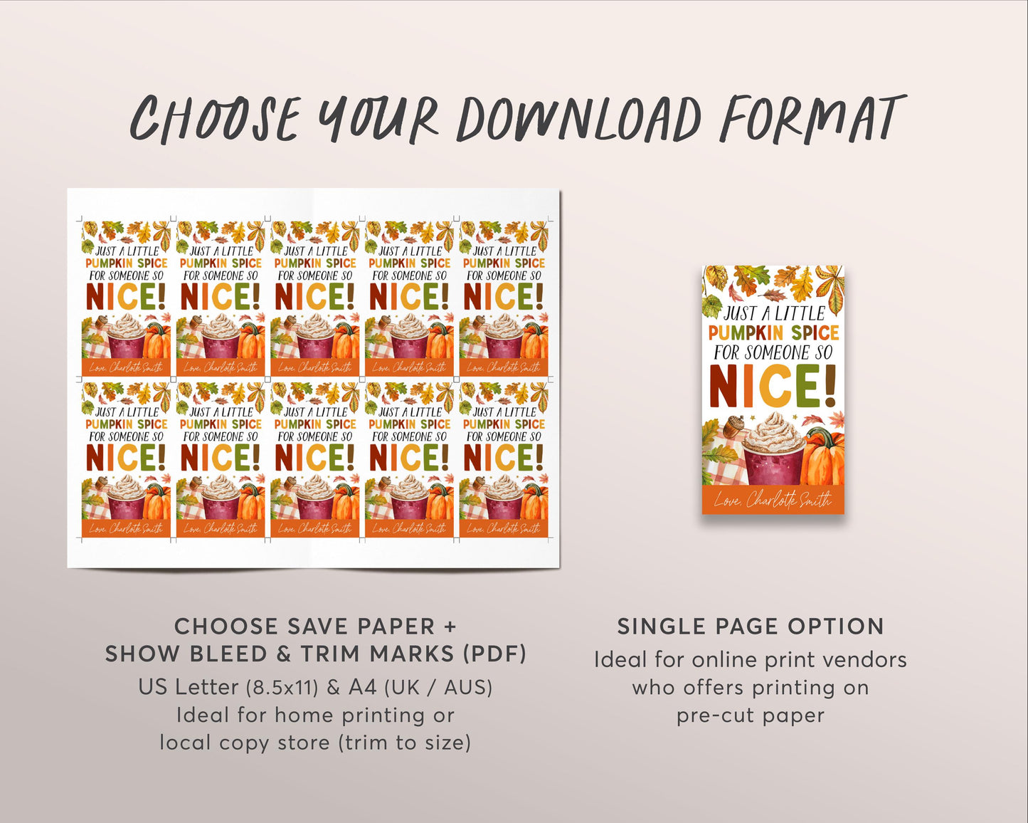 Pumpkin Spice Gift Tag Editable Template, Fall Pumpkin Spice for Someone Nice Appreciation Labels, Autumn Tag Teacher Volunteer Favor Tag