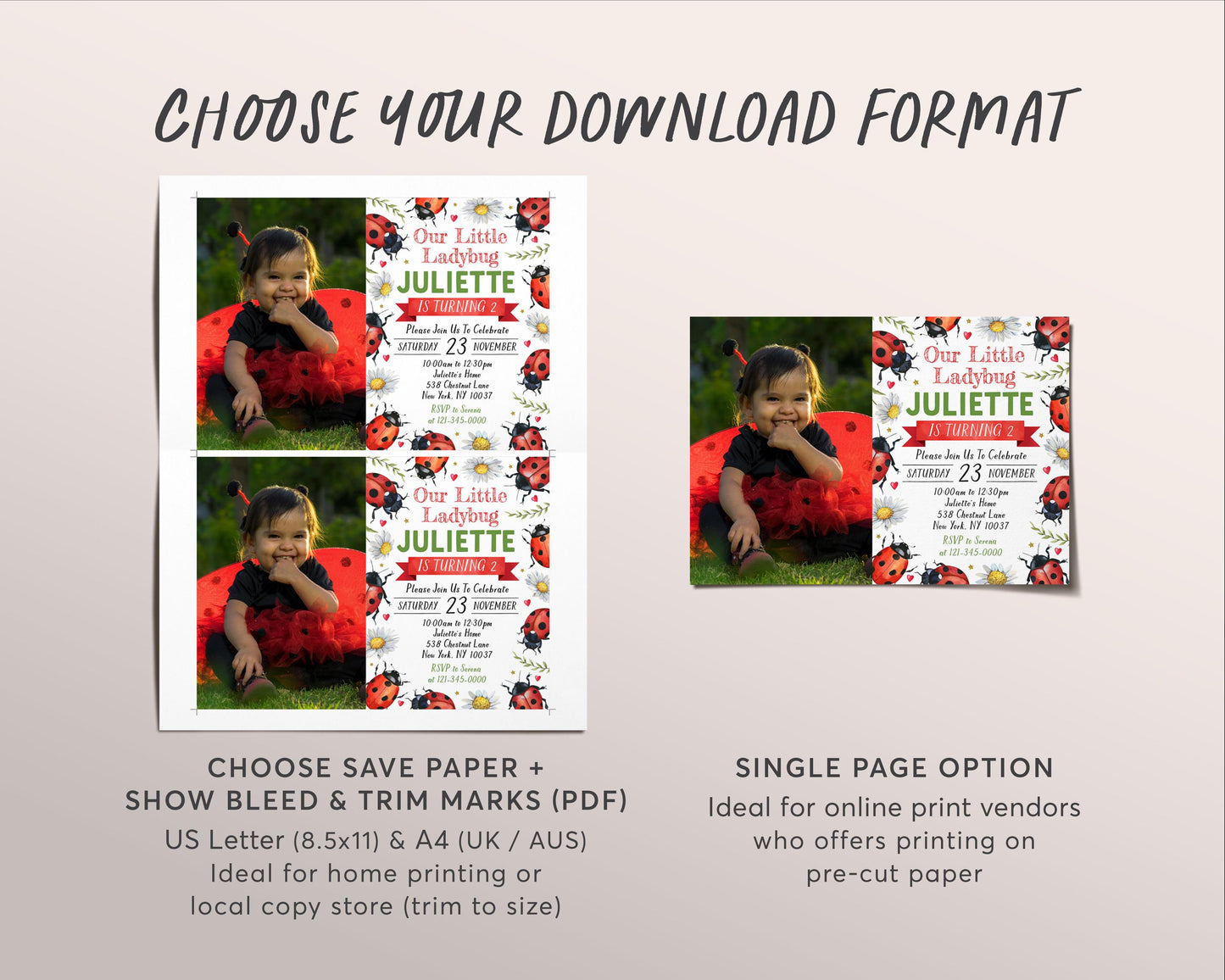 Ladybug Birthday Invitation With Photo Editable Template, Girl Our Little Lady Party Invite, Kids Love Bug Hunt Garden Nature Ladybird Evite