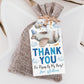 Airplane Birthday Party Favor Tags Editable Template