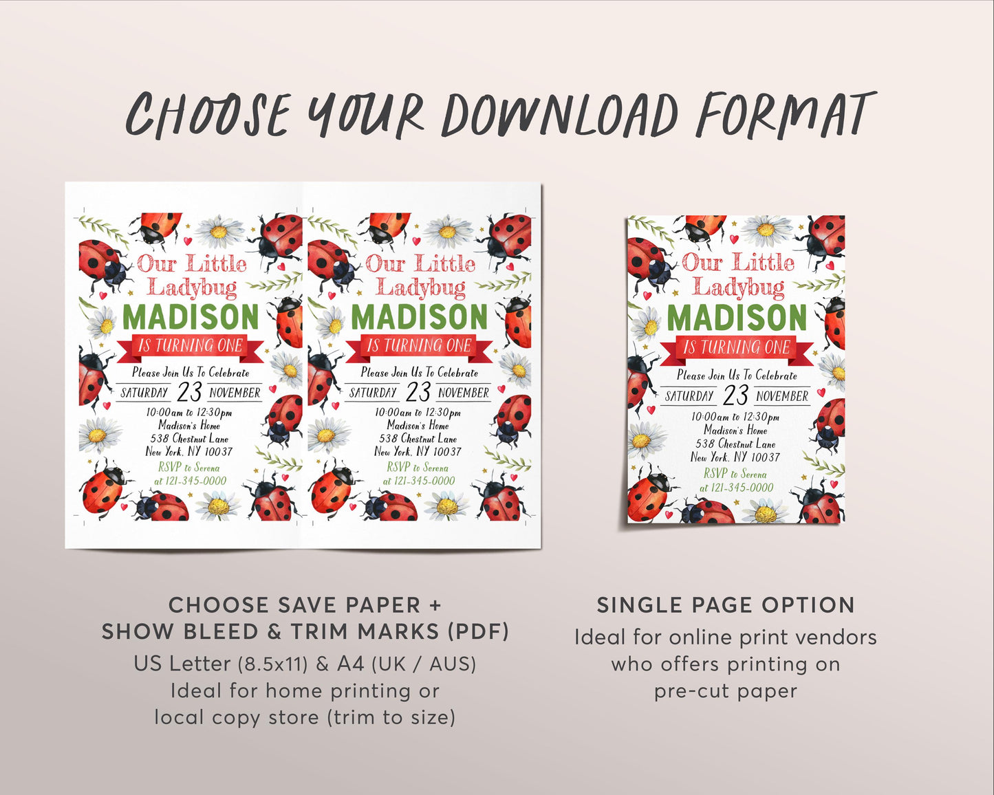 Ladybug Birthday Invitation Editable Template, Girl Our Little Lady Party Invite, Kids Love Bug Hunt Garden Nature Theme Lady Bug Evite