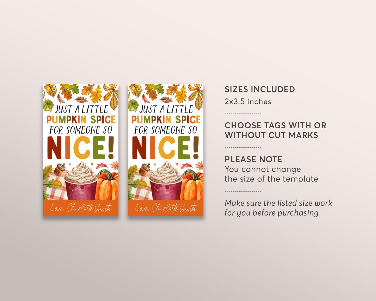 Pumpkin Spice Gift Tag Editable Template, Fall Pumpkin Spice for Someone Nice Appreciation Labels, Autumn Tag Teacher Volunteer Favor Tag
