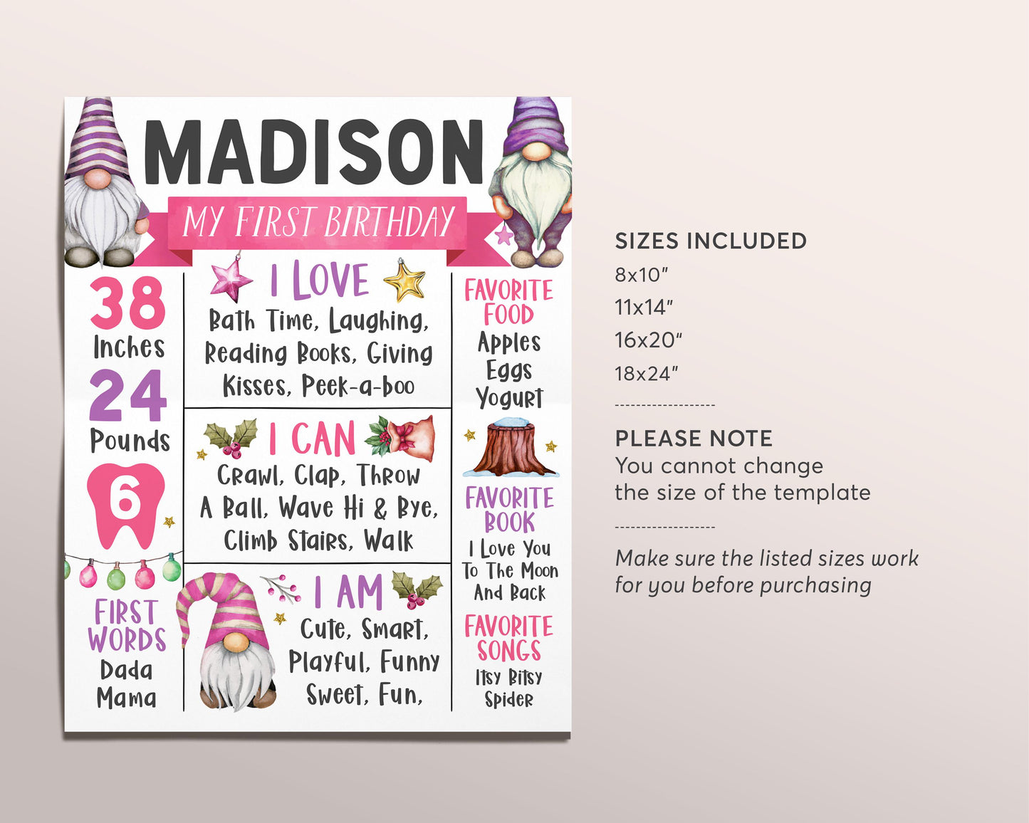 Gnome Birthday Milestone Sign Editable Template, Girl Christmas Garden Gnomes Holiday Winter First Birthday Stats Poster, First Year Stats