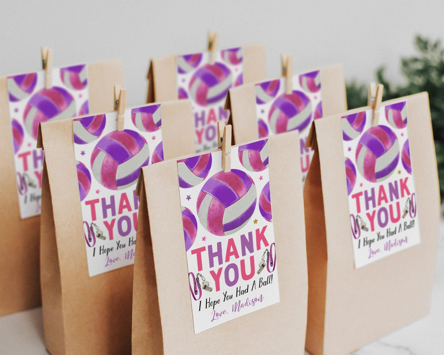 Volleyball Birthday Party Favor Tags Editable Template, Volleyball End Of Season Party Thank You Treat Bag, Sports Theme Gift Tag Coach