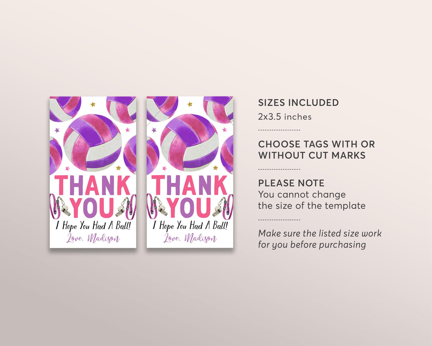 Volleyball Birthday Party Favor Tags Editable Template, Volleyball End Of Season Party Thank You Treat Bag, Sports Theme Gift Tag Coach
