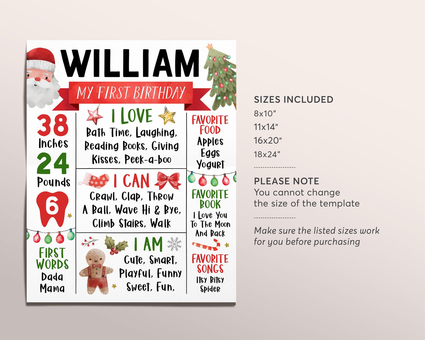 Christmas Birthday Milestone Sign Editable Template, Holiday Winter First Birthday Stats Poster, First Year Stats Banner, Winter Onederland