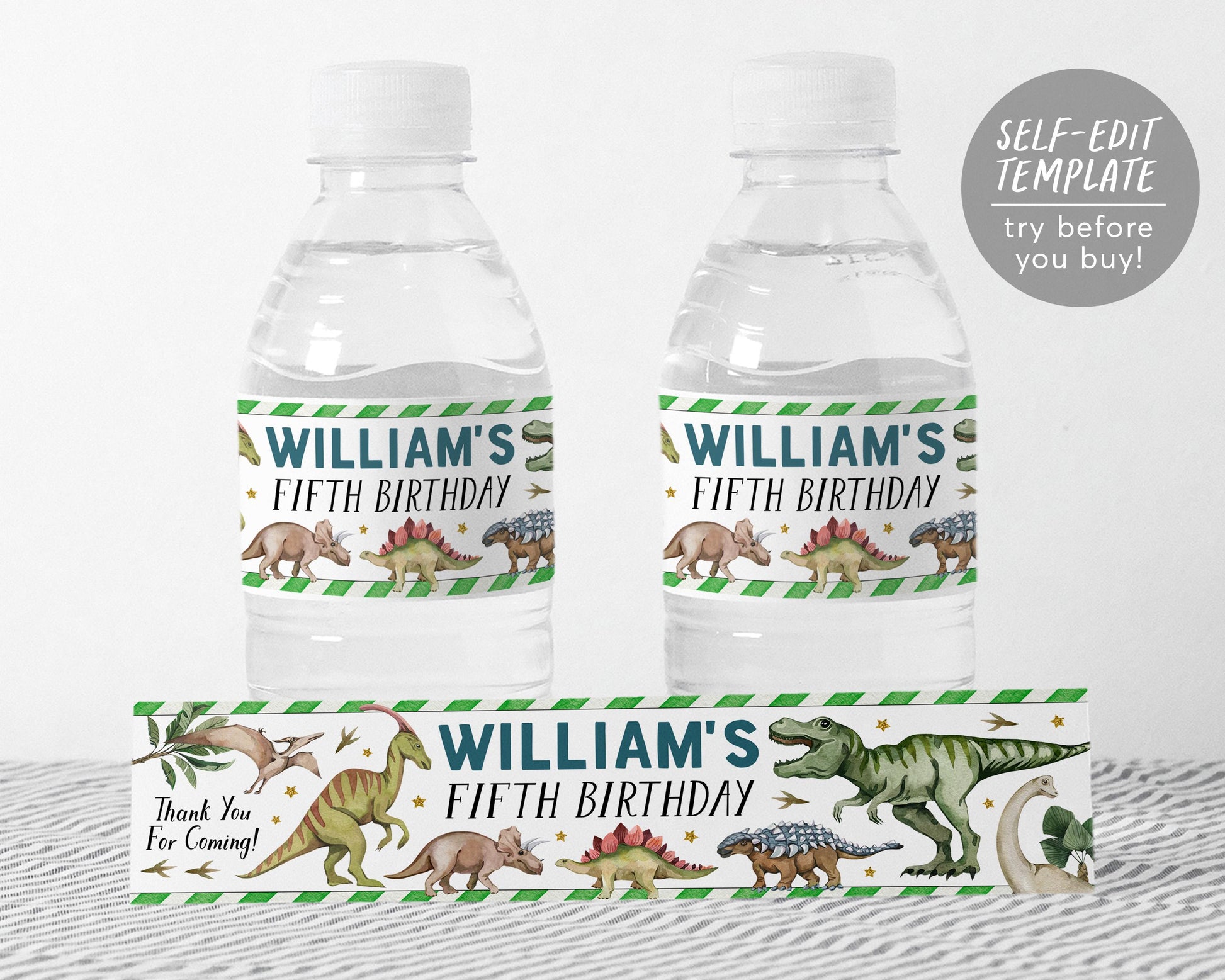 Dinosaur Water Bottle Labels Editable Template