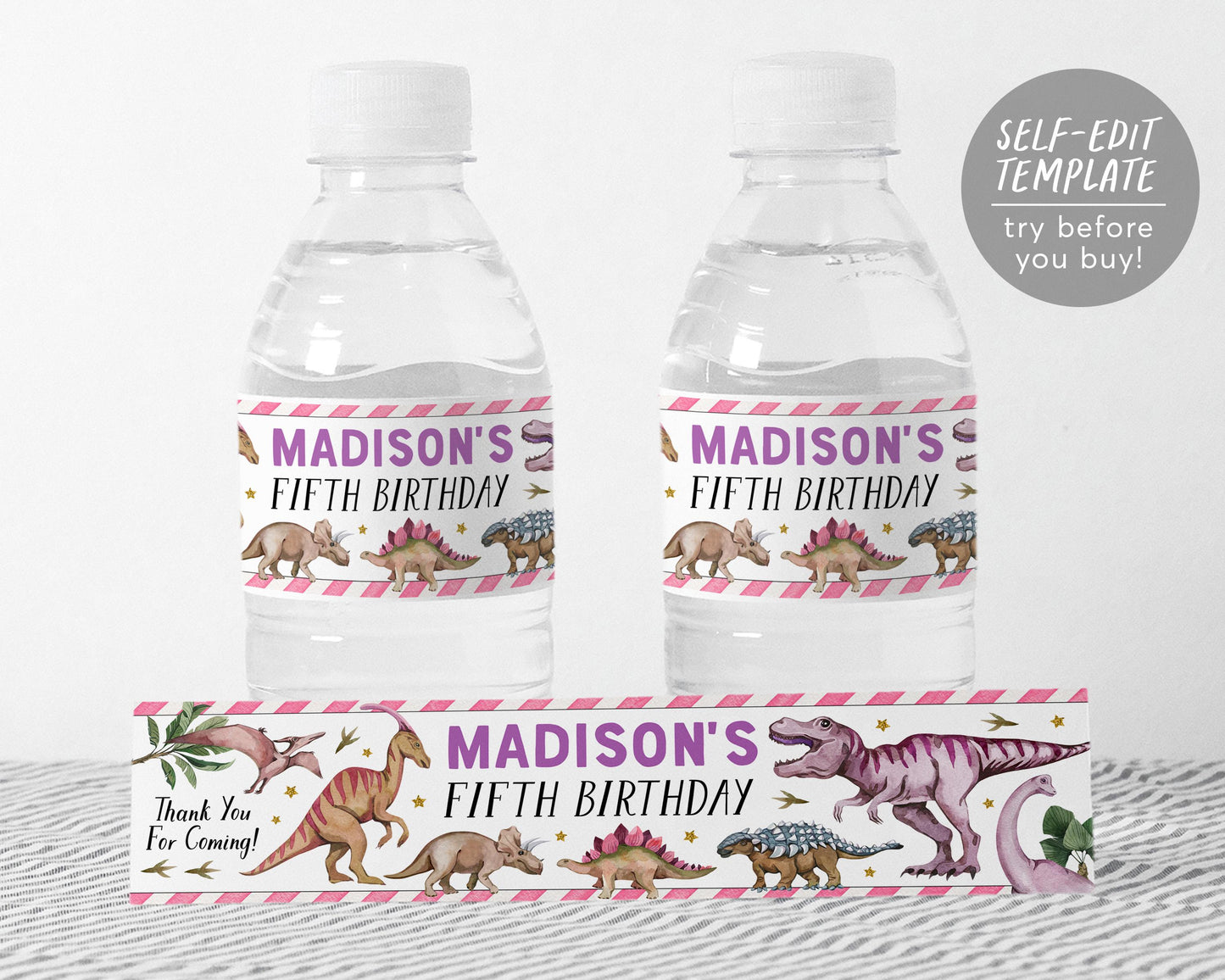 Dinosaur Water Bottle Labels Editable Template