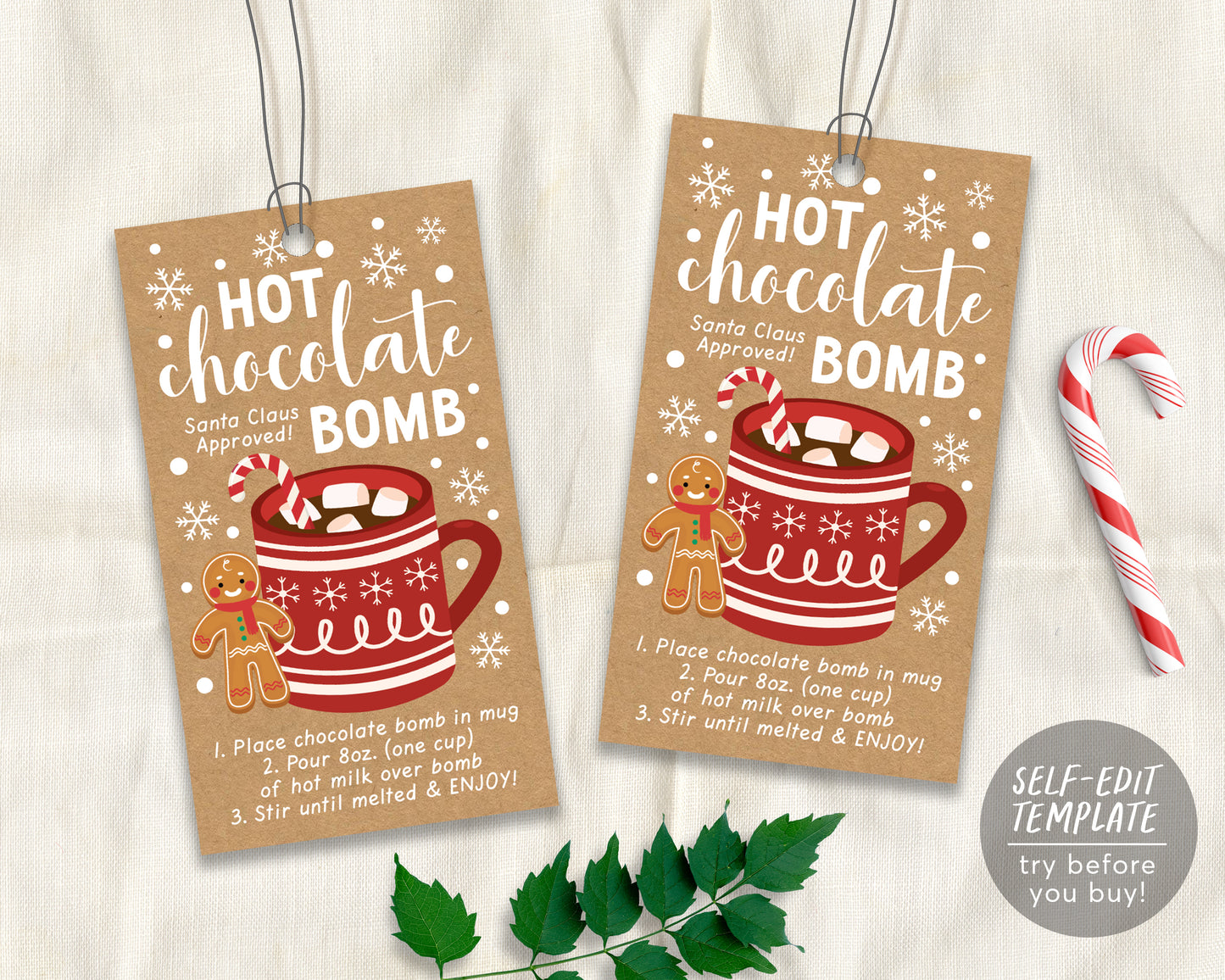 Editable Hot Chocolate Bomb Tags Template, Hot Cocoa Bomb Instructions Favor Tags, Christmas Winter Cookies and Cocoa, You're The Bomb