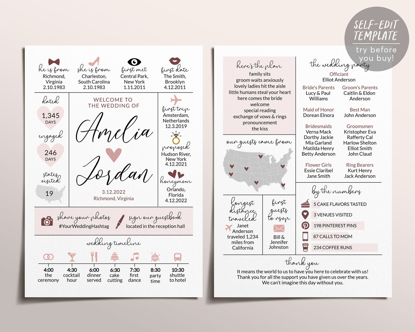 Bohemian Dusty Rose Wedding Program Template, Boho Infographic Reception Program, Wedding Timeline, Unique Ceremony Program, Wild Rose Pink