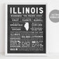 Illinois State Wall Art Sign Poster Infographic, Chalkboard Illinois Map, Chicago Springfield, US States, State Facts, Gift for Dad