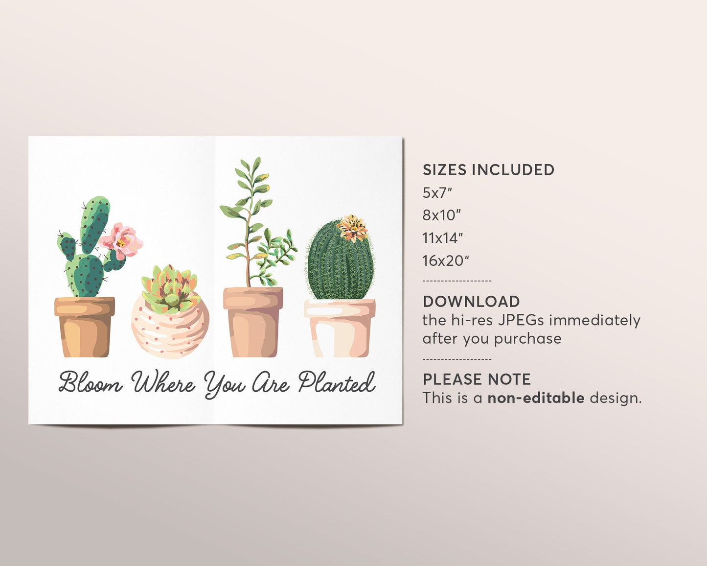 Bloom Where You Are Planted Quote, Inspirational Succulent Wreath Print, Botanical Cactus Mexico Boho Plant Wall Art Decor, Instant Download