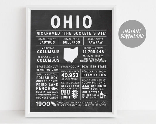 Ohio State Wall Art Sign Poster Infographic, Chalkboard Ohio Map, Columbus, US States, State Facts, Going Away Gift for Brother, Hometown