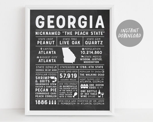 Georgia State Wall Art Sign Poster Infographic, Chalkboard Virginia Map, Atlanta, US States, Men's Gift, State Facts, Housewarming Gift