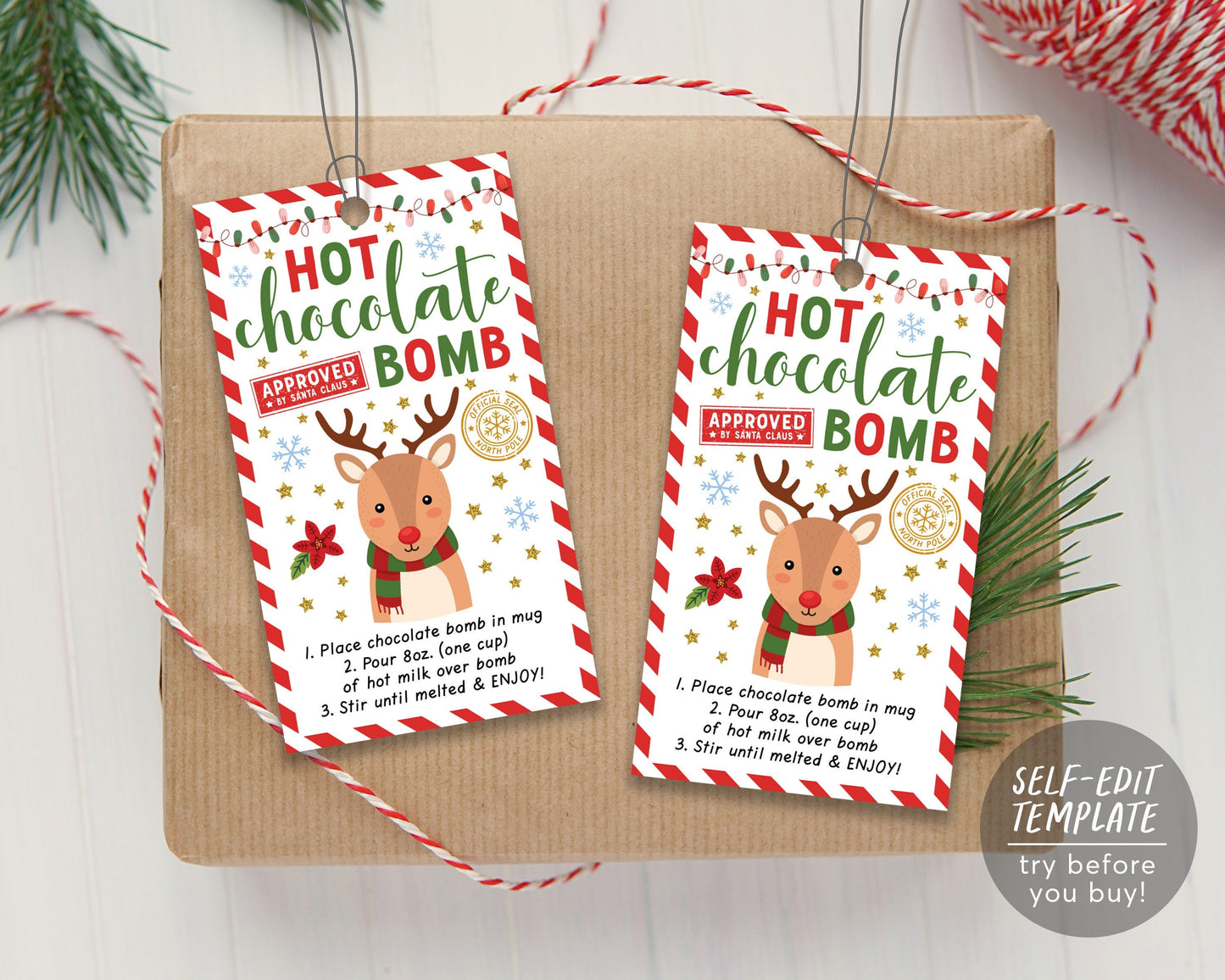 Christmas Reindeer Hot Chocolate Bomb Tag Editable Template, Santa Hot Cocoa Bomb Tags Sticker Labels Printable, Christmas Party Favor