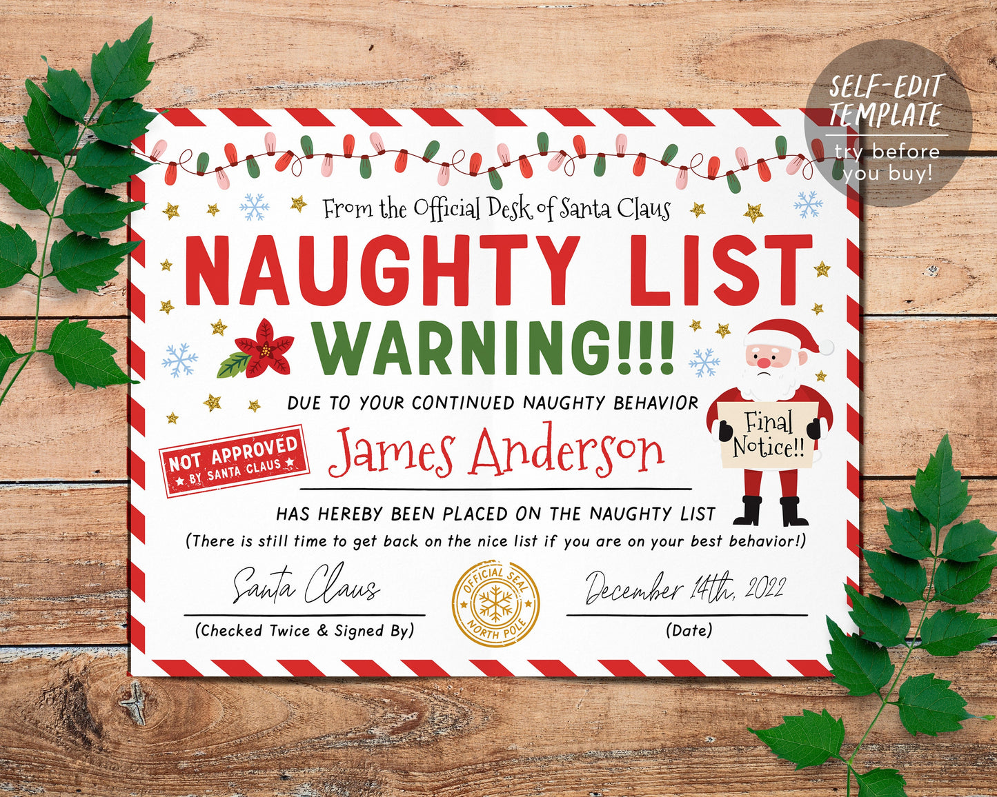 Santa's Naughty List (Customizable)