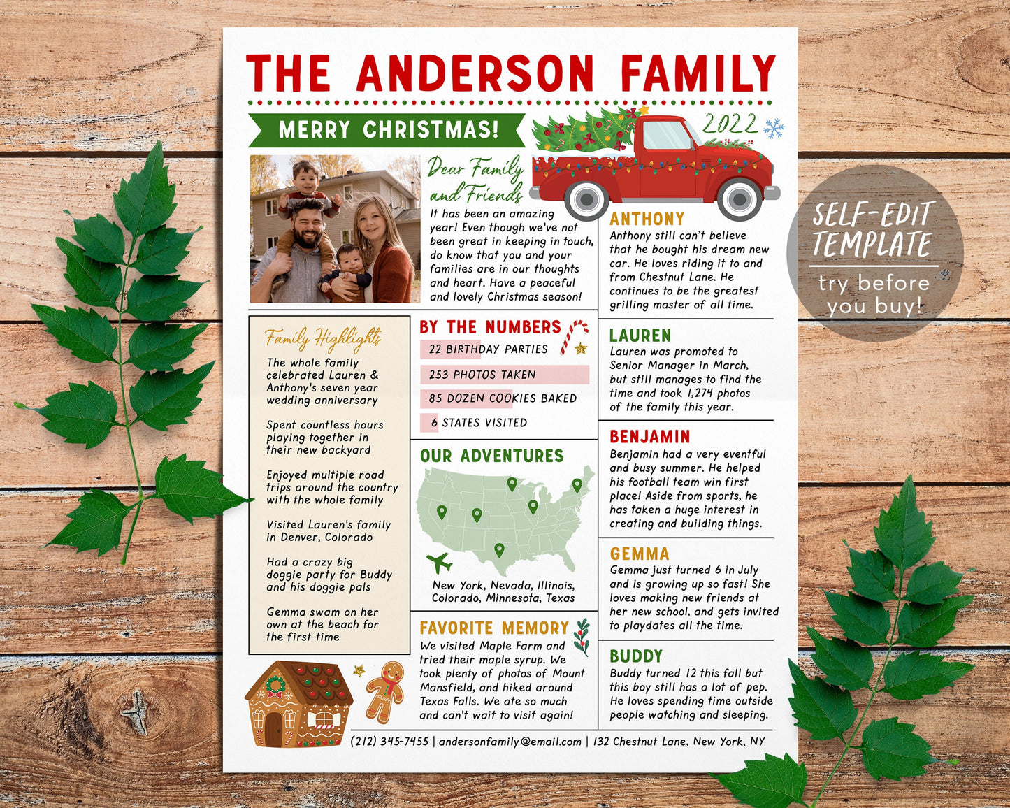 Christmas Newsletter Editable Template, Year In Review Family Update, Year at a Glance, Xmas Post With Photo, Holiday Letter Infographic