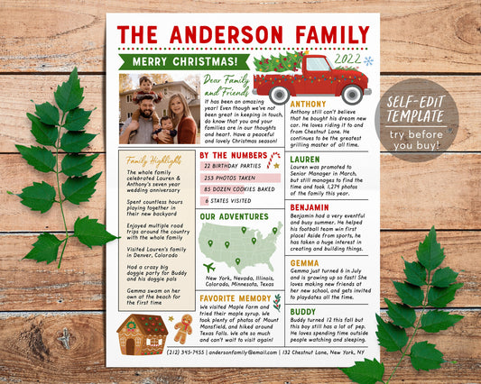 Christmas Newsletter Editable Template, Year In Review Family Update, Year at a Glance, Xmas Post With Photo, Holiday Letter Infographic