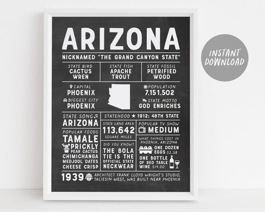 Arizona State Wall Art Sign Poster Infographic, Chalkboard Arizona Map, Phoenix US States, Men's Gift, State Facts, Housewarming Gift