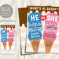 Ice Cream Gender Reveal Baby Shower Invitation Editable Template, Here's the Scoop Boy Or Girl Baby Sprinkle Summer Invite, He She Blue Pink