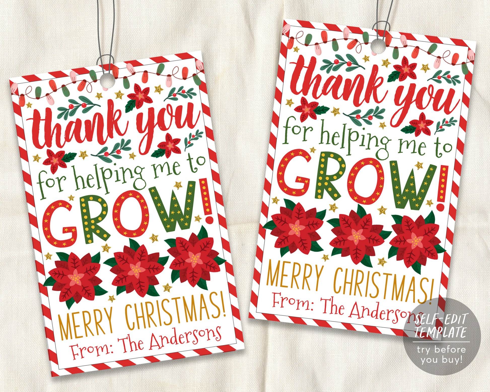 Christmas Thank You Appreciation Gift Tags