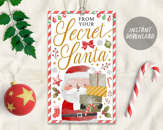 From Your Secret Santa Gift Tag, Christmas Santa Claus Special Delivery, Gift Exchange Printable Favor Tags Party Favor, Instant Download