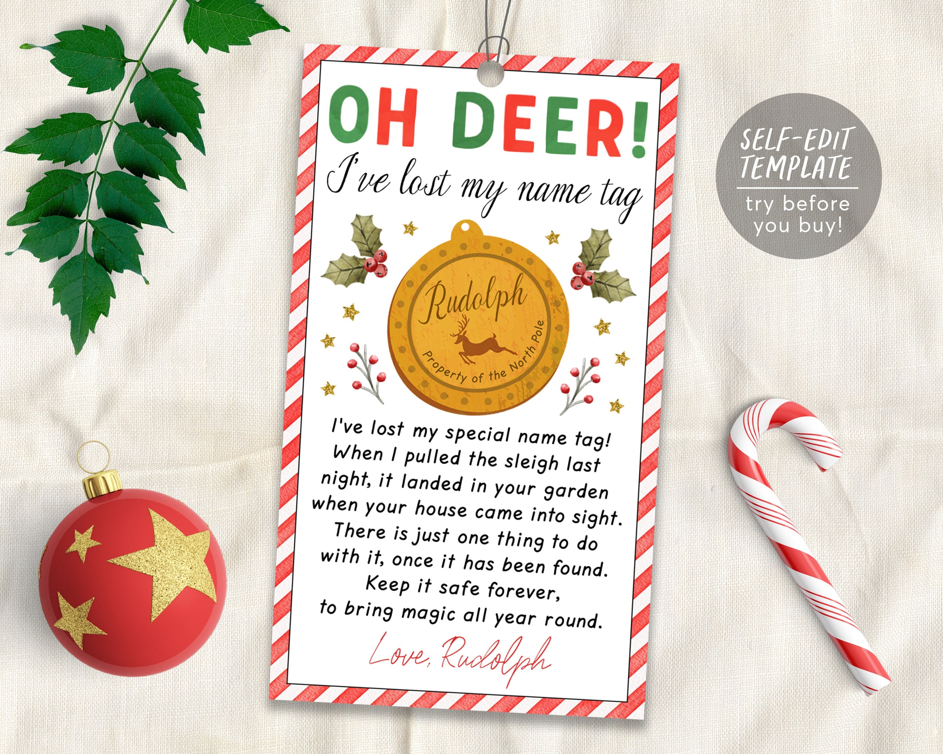 Rudolph's Lost Name Tag Editable Template, Santa's Reindeer Lost Tag ...