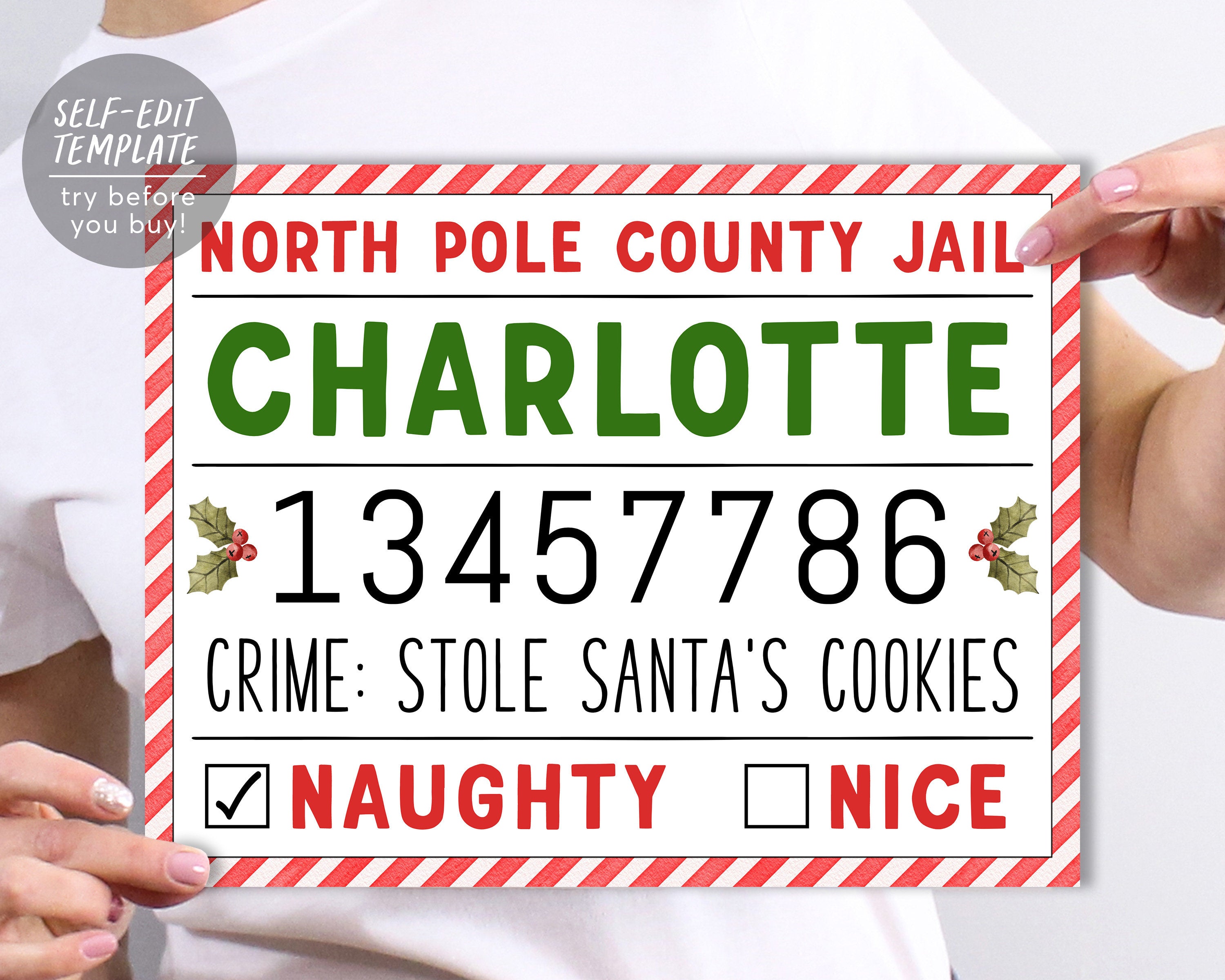 Christmas Mugshot Sign Board Editable Template, Holiday Ugly Sweater P