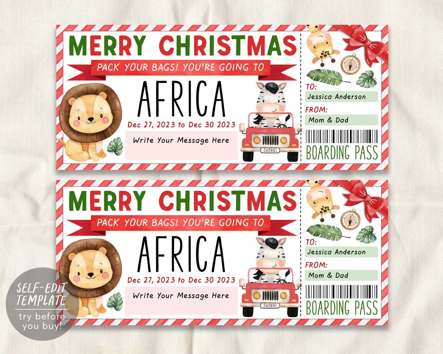 Africa Trip Plane Ticket Editable Template