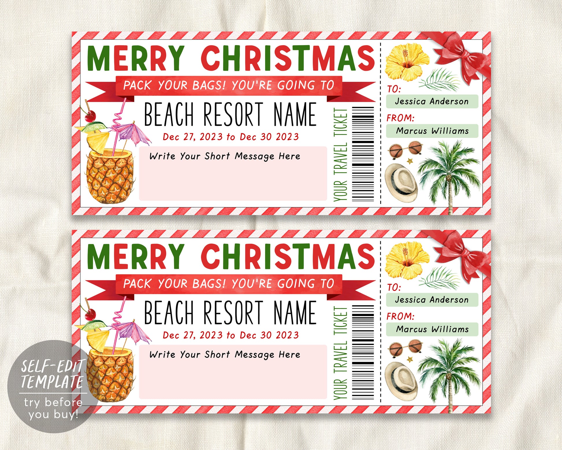 Surprise Trip Ticket to Paradise Tropical Vacation Tickets Instant Download  Printable Trip Ticket Surprise Ticket to the Beach (Instant Download) 