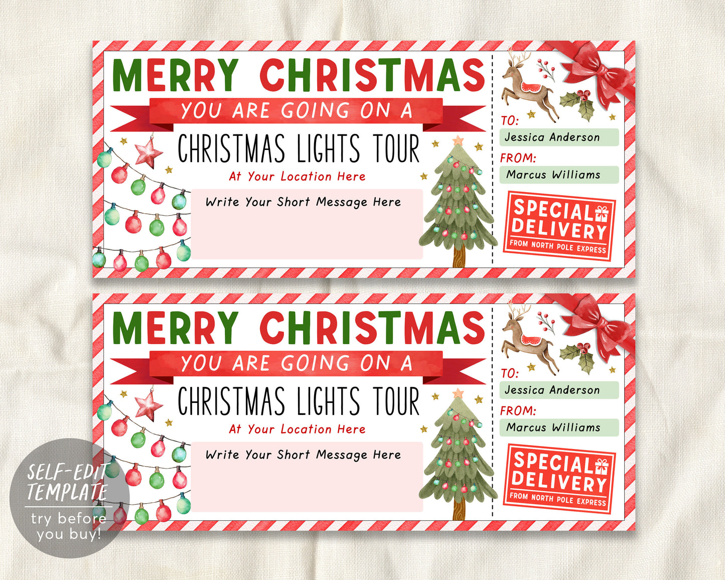 Christmas Lights Tour Ticket Editable Template