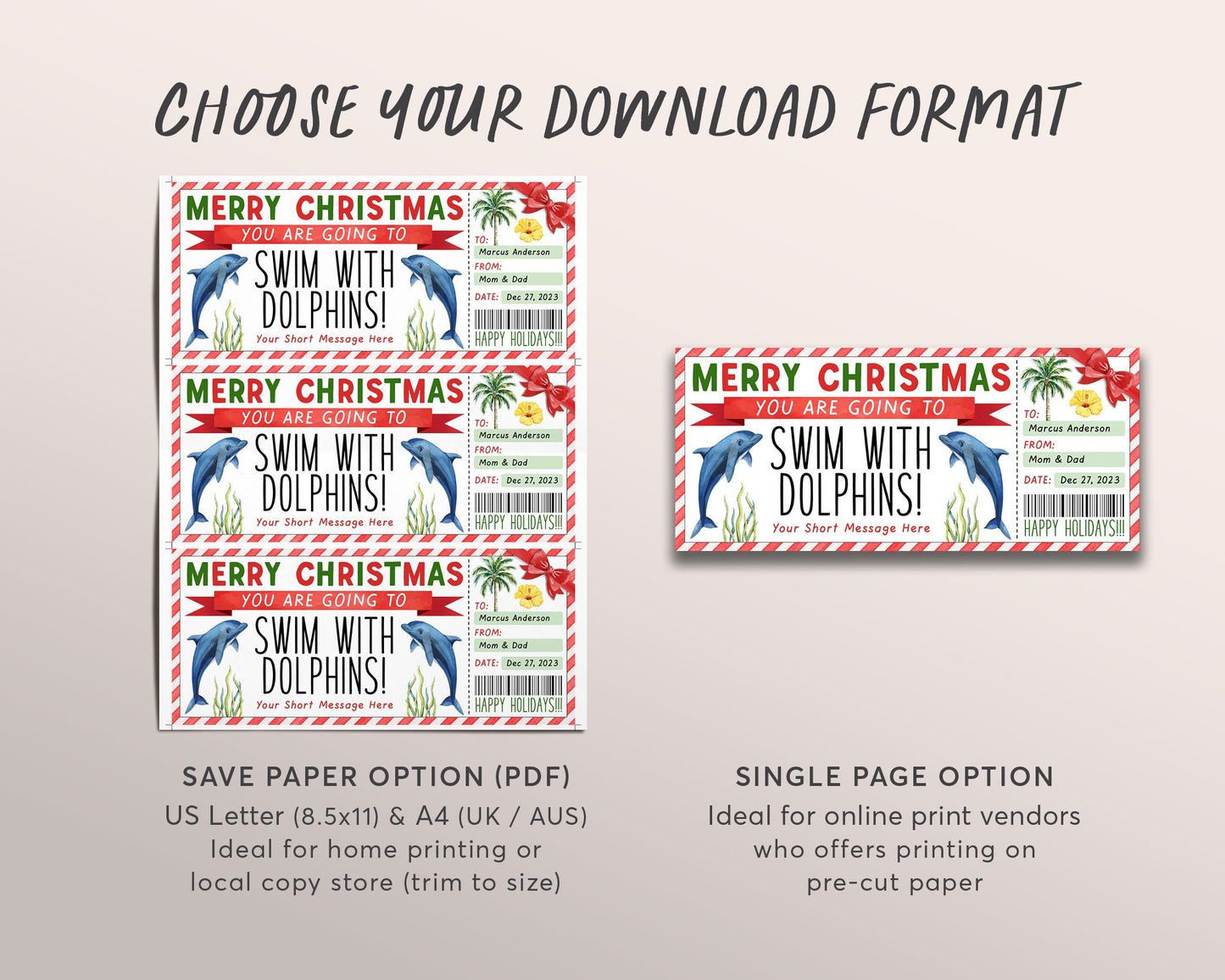 Christmas Swim With Dolphins Ticket Editable Template, Surprise Dolphin Watching Experience Gift Voucher Day Trip Gift Certificate Coupon
