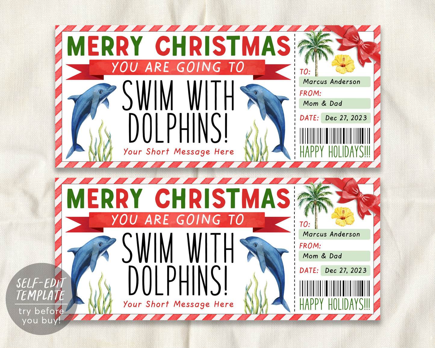 Christmas Swim With Dolphins Ticket Editable Template