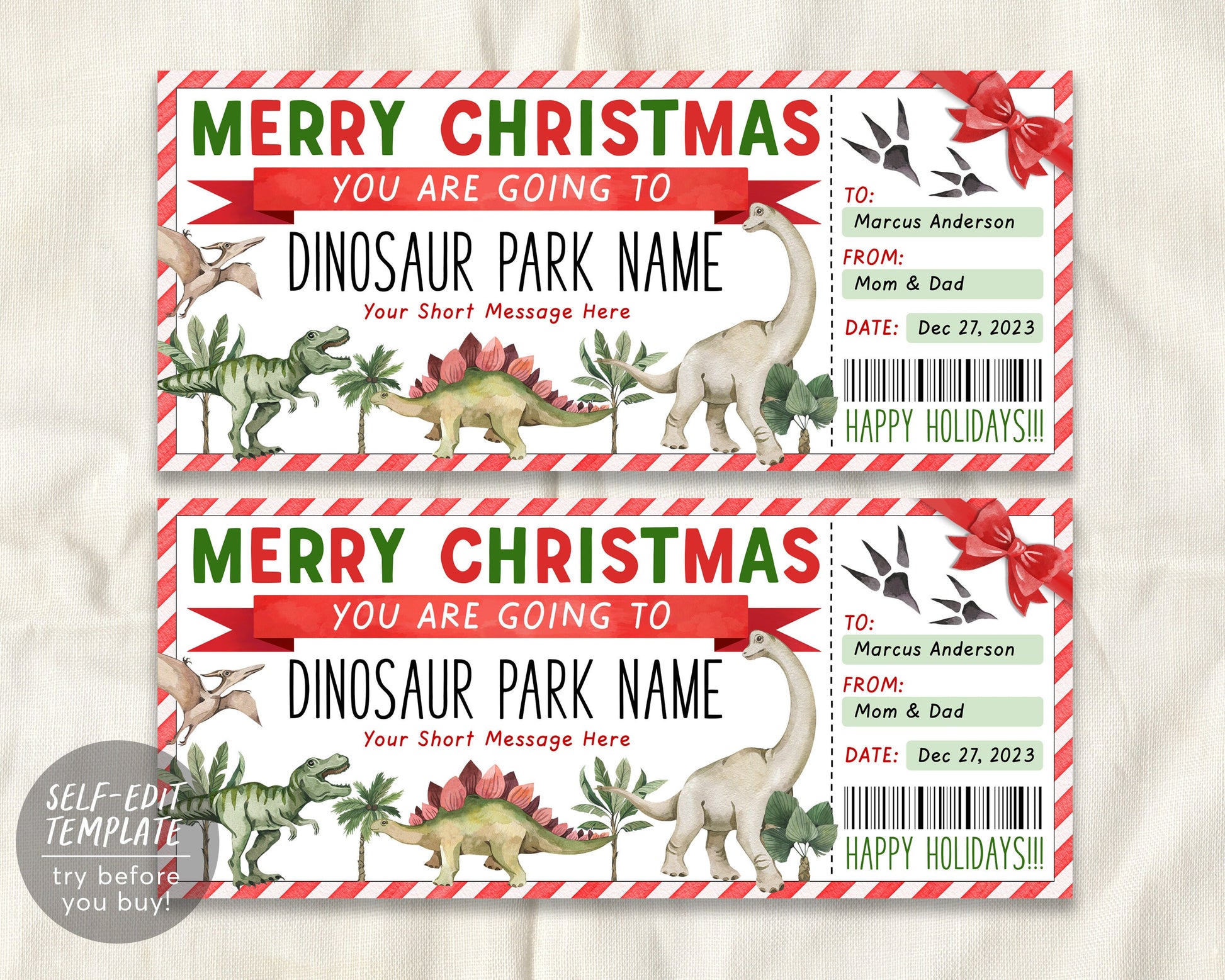 Dinosaur Park Ticket Editable Template