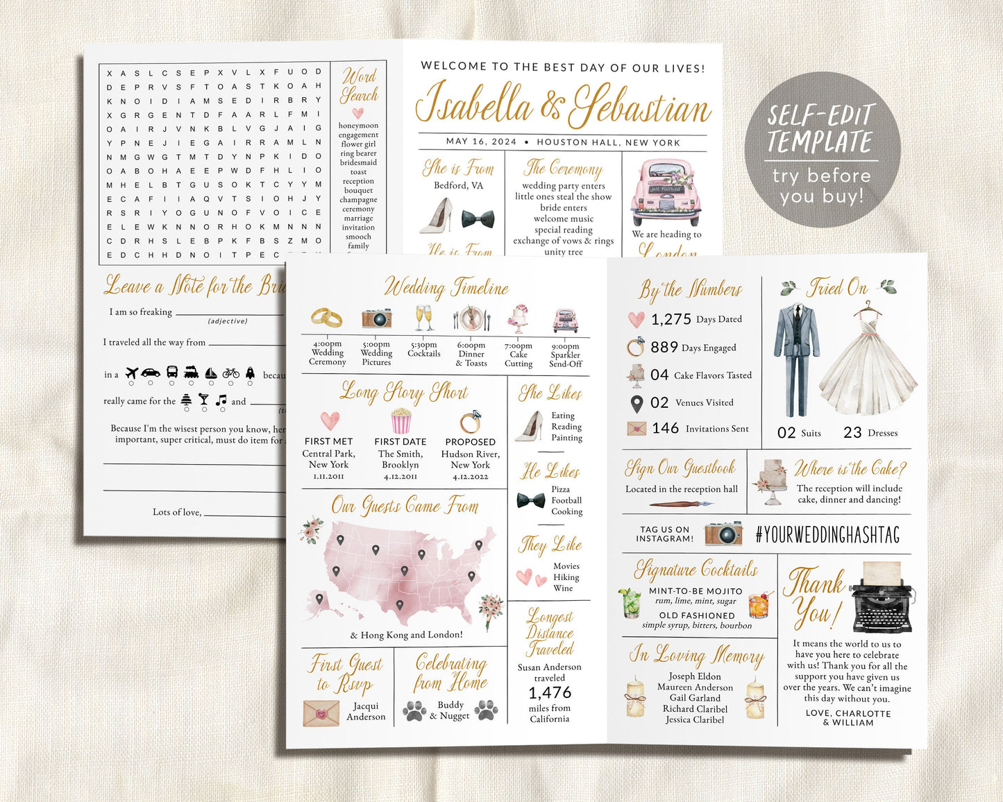 Blush Infographic Wedding Bifold Program Editable Template, Dusty Rose Floral Watercolor Wedding Day Timeline Reception Program, Advice Card