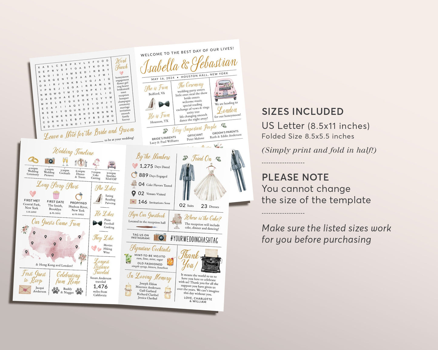 Blush Infographic Wedding Bifold Program Editable Template, Dusty Rose Floral Watercolor Wedding Day Timeline Reception Program, Advice Card