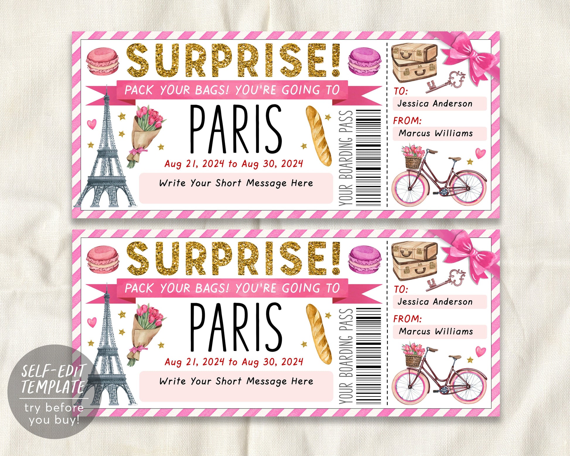 Paris Trip Ticket Boarding Pass Editable Template